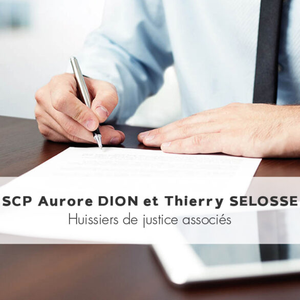 SCP Aurore DION, Thierry SELOSSE